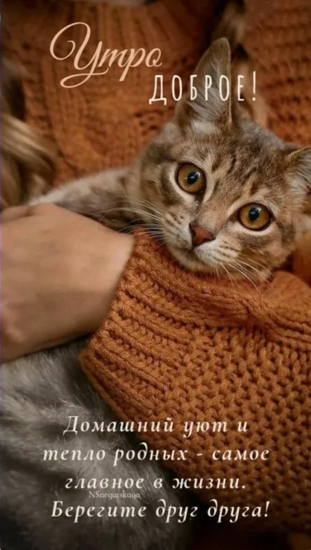 Картинки Доброе осеннее утро .
