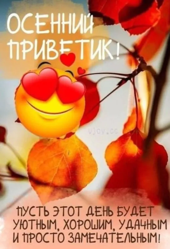Картинки Доброе осеннее утро .