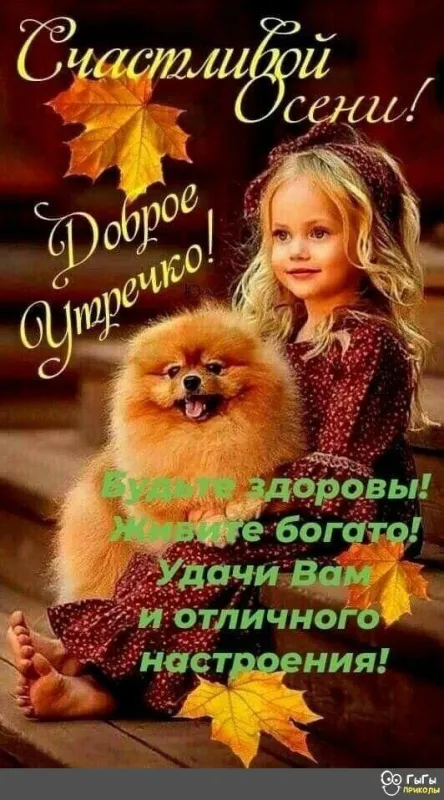 Картинки Доброе осеннее утро .