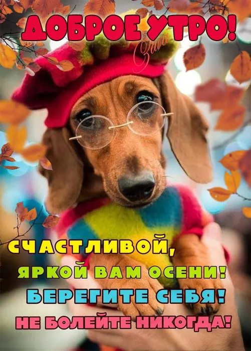 Картинки Доброе осеннее утро .
