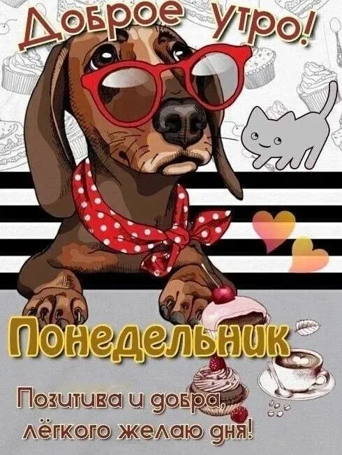 Картинки "Доброе утро понедельника". Картинки Доброго утра понедельника прикольные