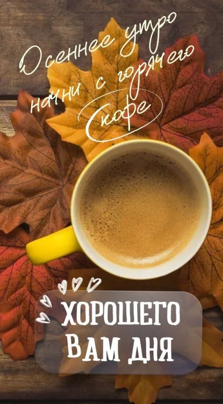 Красивые картинки "С добрым утром октября". Картинки "Доброго утра октября"