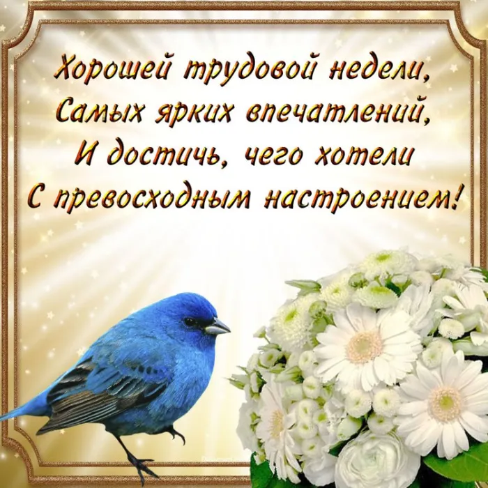 Картинки "Доброе утро понедельника". Доброе утро понедельника - картинки с пожеланиями