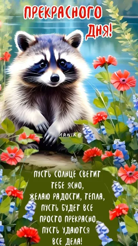 100+ картинок "Хорошего и доброго дня" . Картинки "Хорошего и доброго дня"