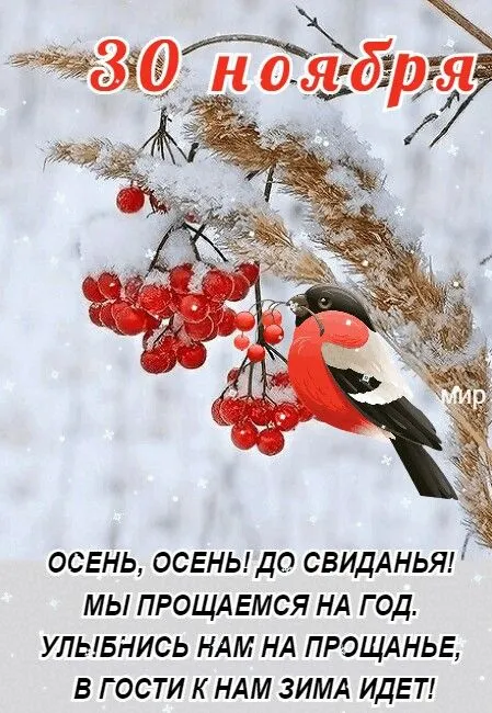 Картинки с последним днем осени . Красивые картинки с последним днем осени