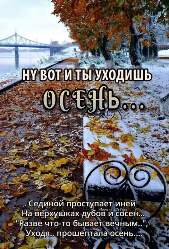 Картинки с последним днем осени . Красивые картинки с последним днем осени