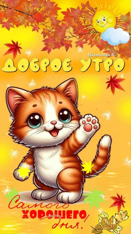 Прикольные картинки Доброе утро. Прикольные картинки Доброе утро с котиками