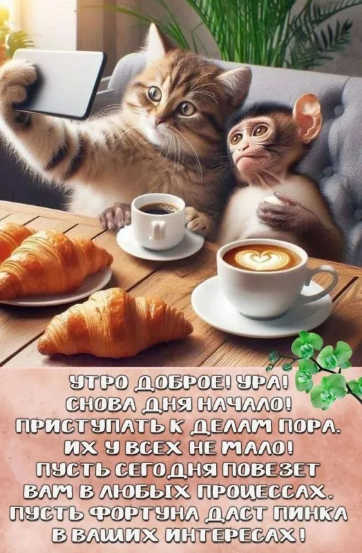 Прикольные картинки Доброе утро. Прикольные картинки Доброе утро с котиками