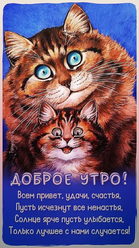 Прикольные картинки Доброе утро. Прикольные картинки Доброе утро с котиками
