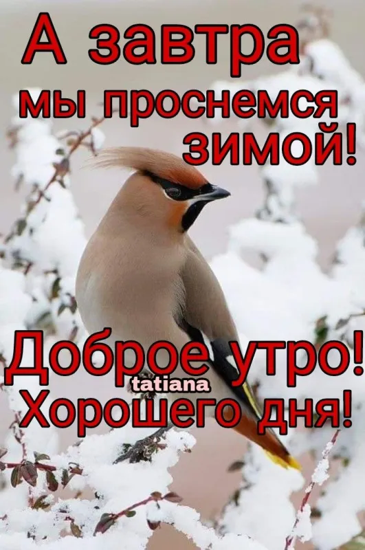Картинки с последним днем осени . Картинки на 30 ноября (последний день осени)