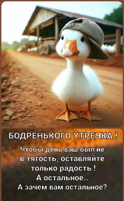 Прикольные картинки Доброе утро. Прикольные картинки с Добрым утром