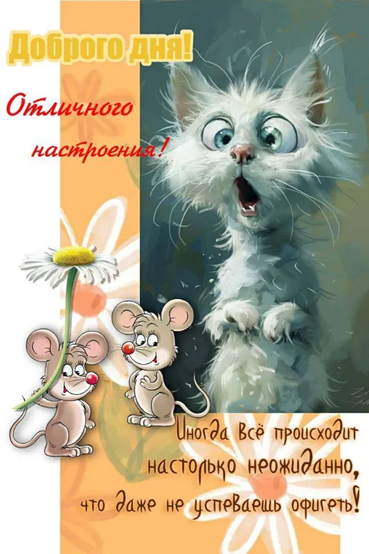 Прикольные картинки Доброе утро. Картинки с Добрым утром прикольные и позитивные