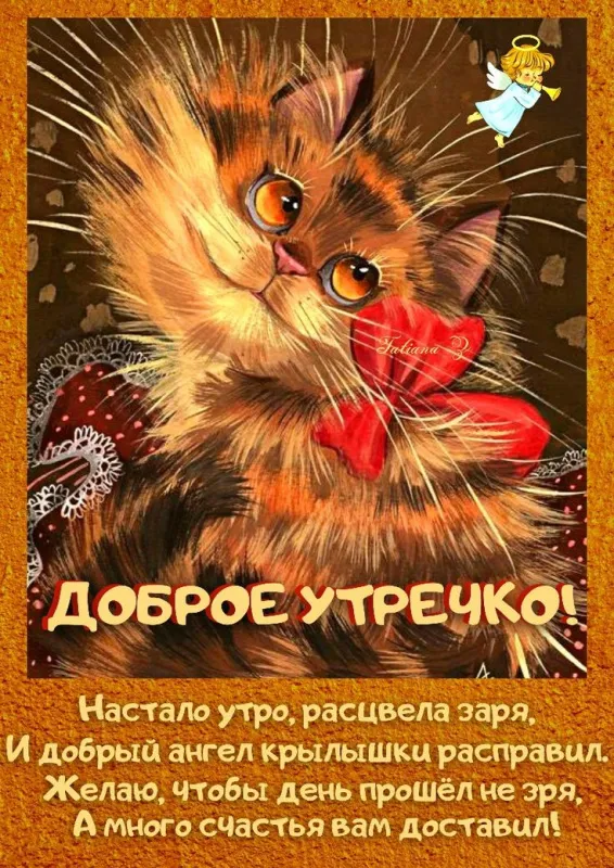 Прикольные картинки Доброе утро. Прикольные картинки Доброе утро с котиками
