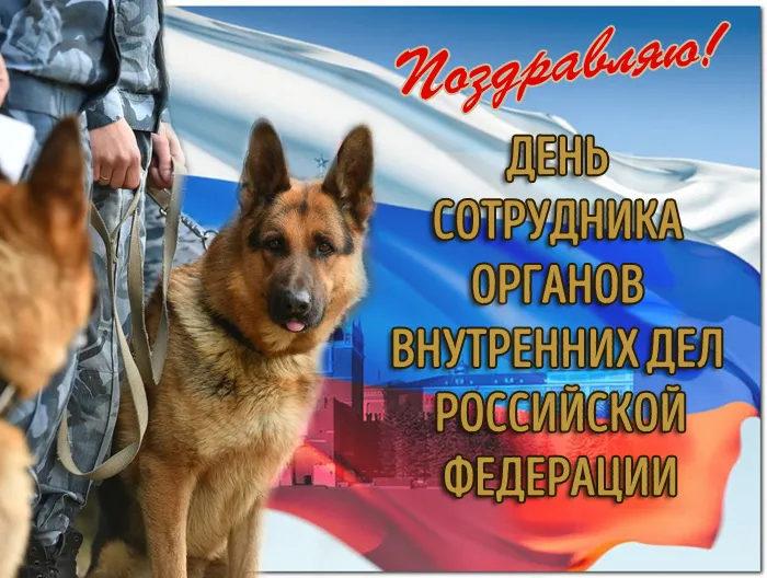 Картинки с Днем сотрудника Органов Внутренних Дел. Картинки с Днем сотрудника Органов Внутренних Дел