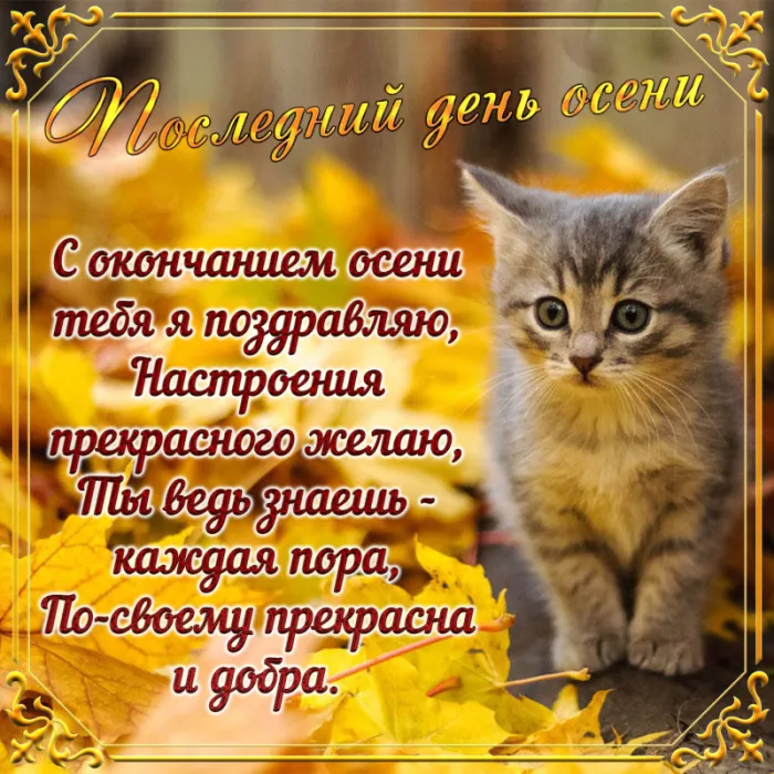 Картинки с последним днем осени . Картинки "С последним днем осени" прикольные