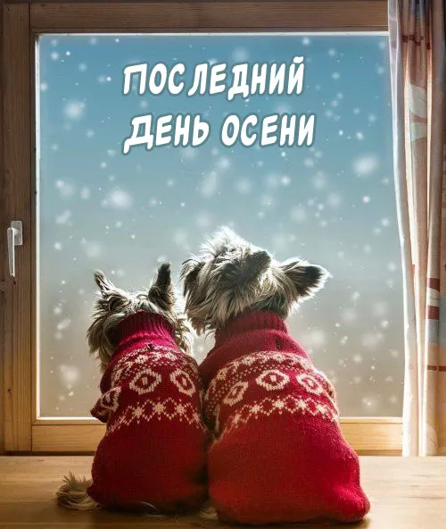 Картинки с последним днем осени . Картинки "С последним днем осени" прикольные