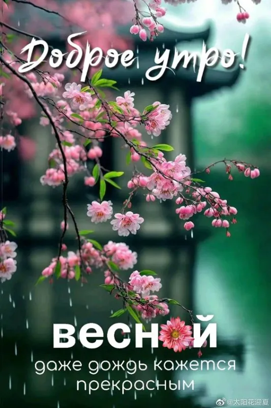 Картинки с добрым утром апреля. Картинки доброе утро апреля