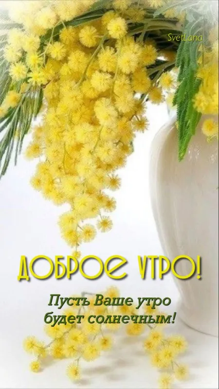 Картинки с добрым утром апреля. С Добрым утром апреля - картинки весенние