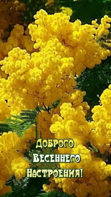 Картинки с добрым утром апреля. Картинки доброе утро апреля