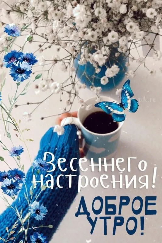 Картинки с добрым утром апреля. Красивые весенние картинки с Добрым утром апреля