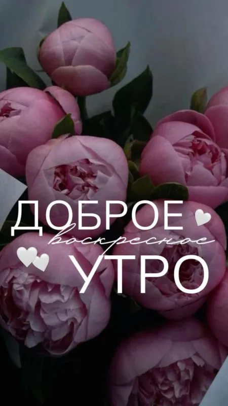 100+ картинок с Добрым утром Воскресенья. Красивые картинки Доброе утро воскресенья