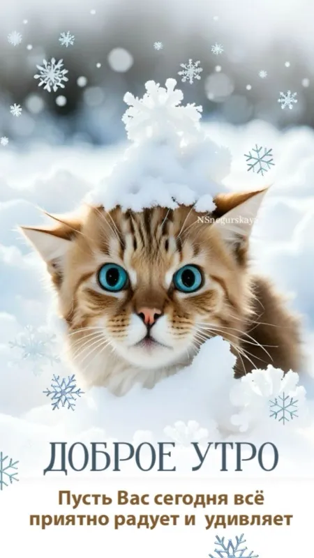 Красивые снежные картинки "Доброе утро". Снежные картинки "Доброе утро" позитивные