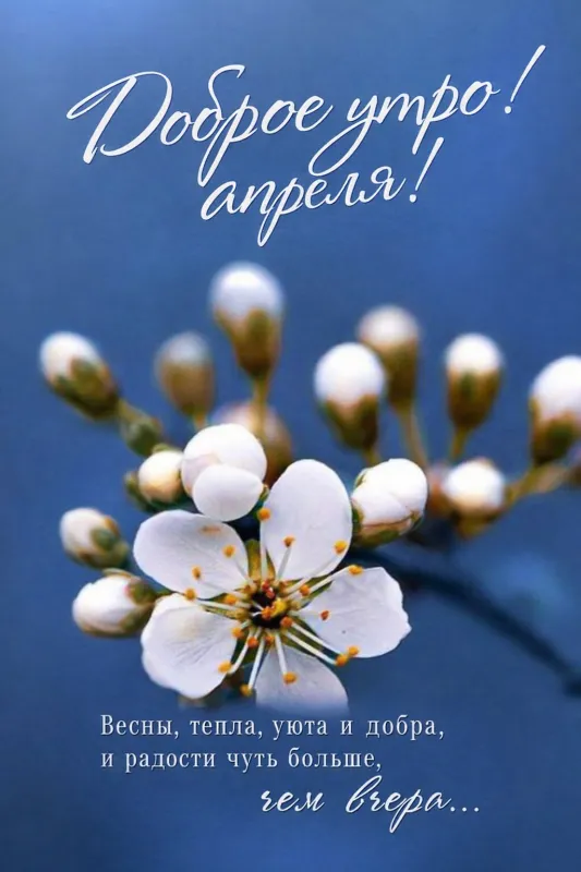 Красивые картинки Доброе апрельское утро. Красивые картинки Доброе утро апреля