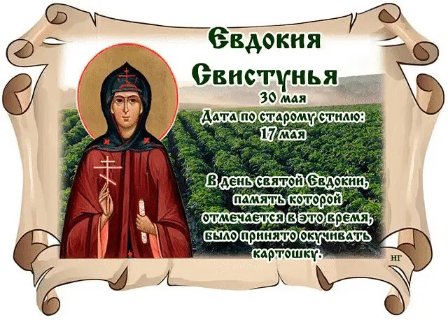 Картинки на Евдокию Свистунью (15 открыток)