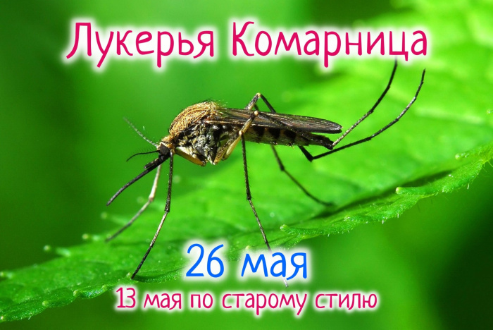 Картинки на Лукерью Комарницу (20 открыток)