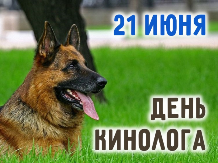 Картинки с Днем кинологических подразделений МВД России (80 открыток)