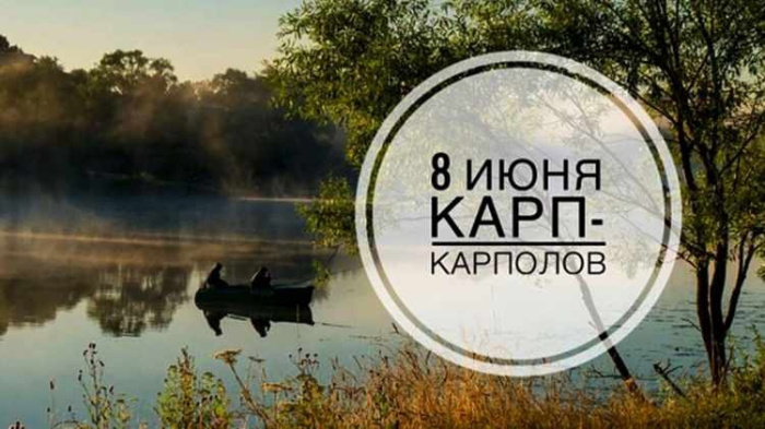 Картинки Карп Карполов (12 открыток)