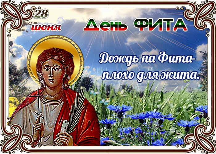 Картинки с Днем Фита (12 открыток)