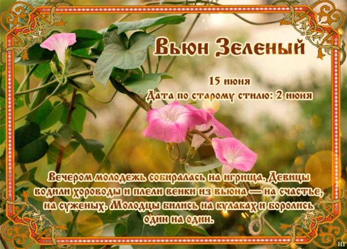 Картинки Вьюн Зеленый (11 открыток)