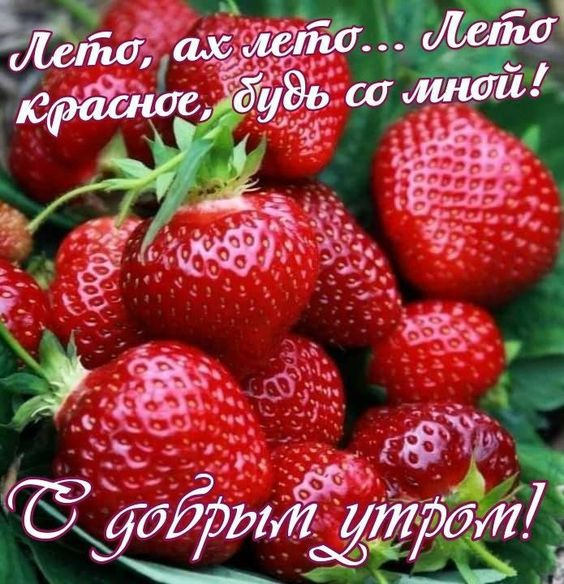 Красивые картинки с Добрым летним утром